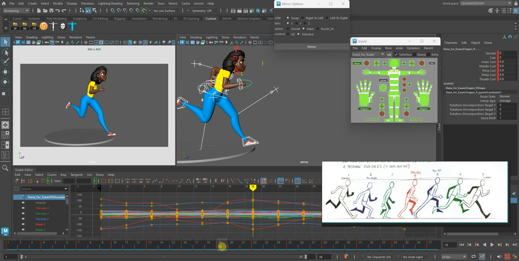 Animation Course